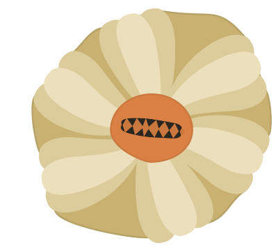 Illustration av havstulpan med tänder.