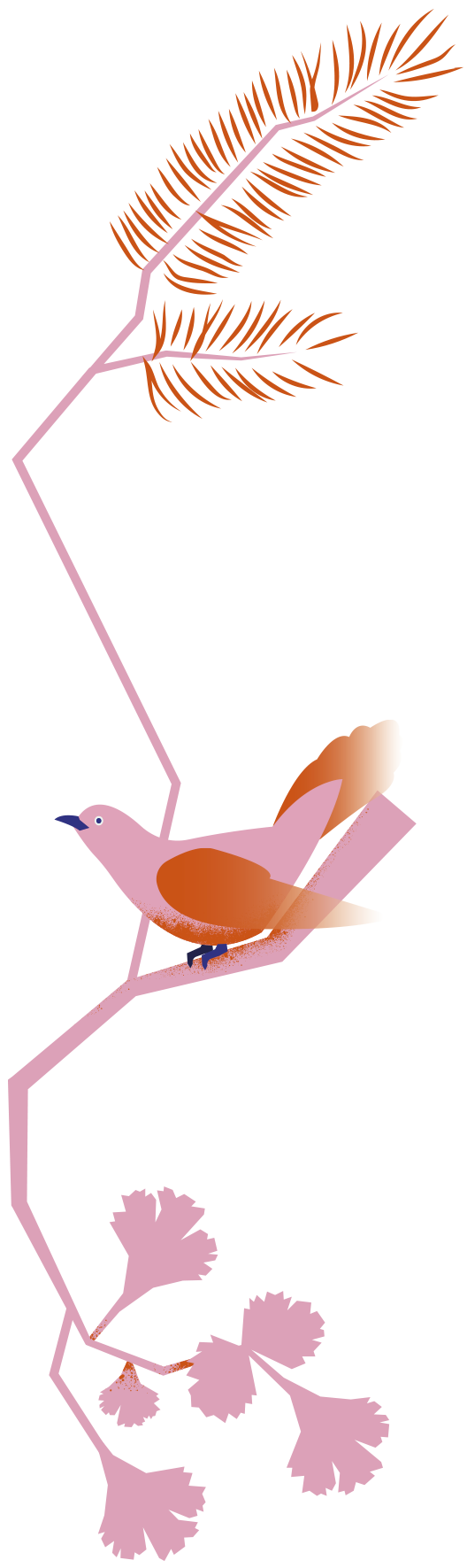 Illustration av fågel och koriander.
