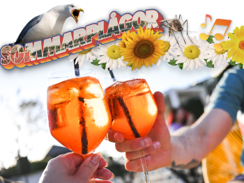 Collage med en bild på två händer som skålar med Aperol i vinglas. Sommarblommor, en mås och en mygga syns i bilden. Högst upp i bilden står det "sommarplågor".